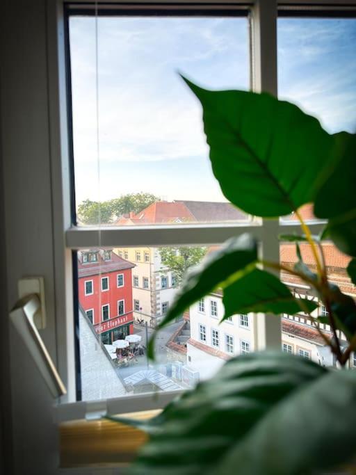 Erfurter Altstadtbrise II Kültér fotó